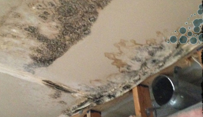 ceiling water leak mold damage in penrose