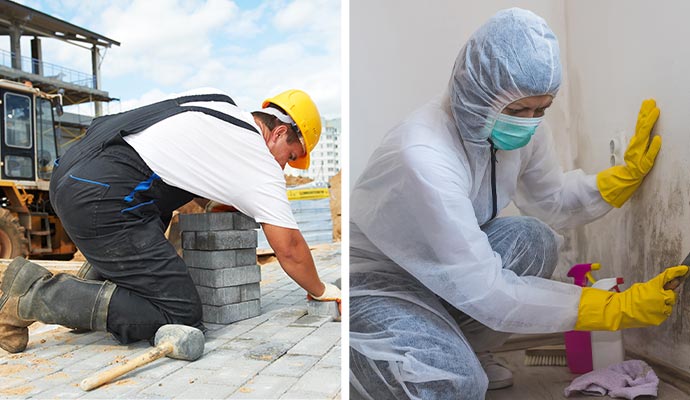 construction & mold remediation service in Coal Creek
