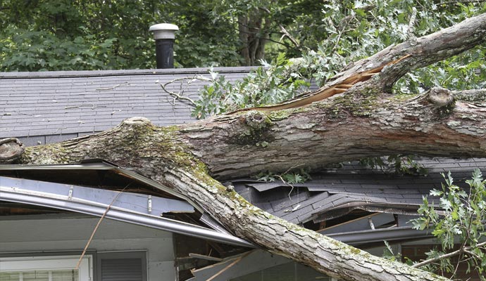 Storm Damage Restoration