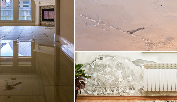 Flood, leaks, and mold restoration services.