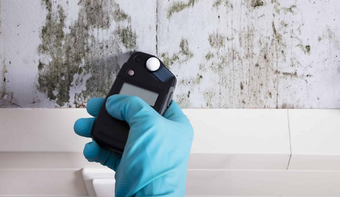 Mold Cleanup Services