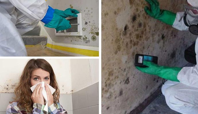 mold effect on health mold testing and mold remediation