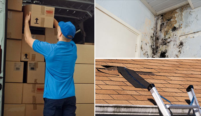 Pickup mold remediation and roof restoration services.