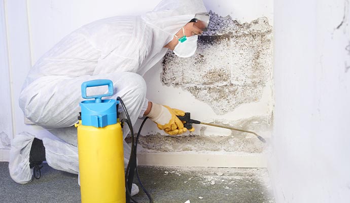 professional man wear uniform mold remediation commercial property