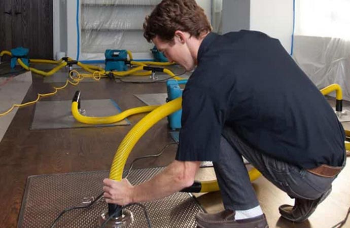 professional working on water damage