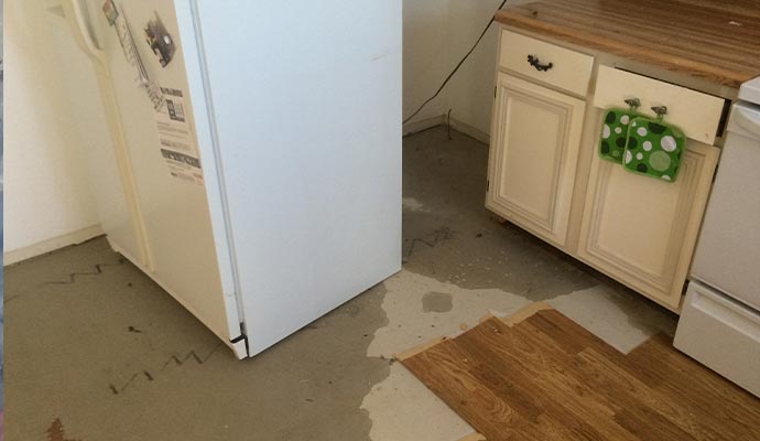 Refrigerator leak