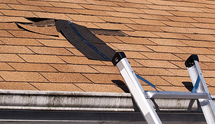 shingles roof water damage