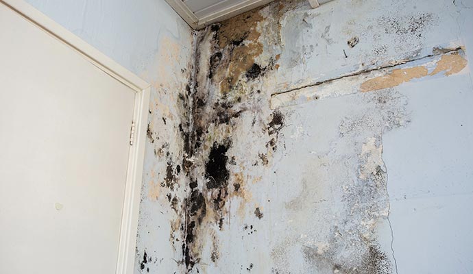 water damage causing mold on the interior walls of a property structural damage